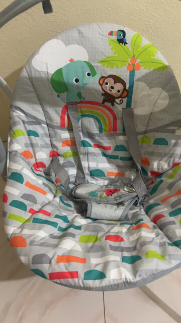 Bright Starts Baby Swing