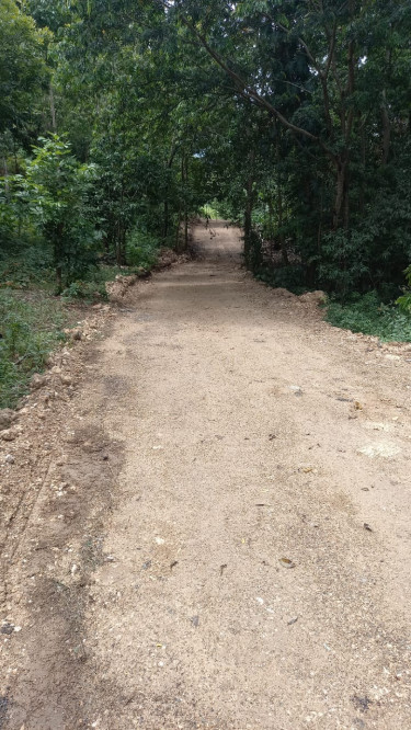 Land For Sale In Long Road, Portland.  