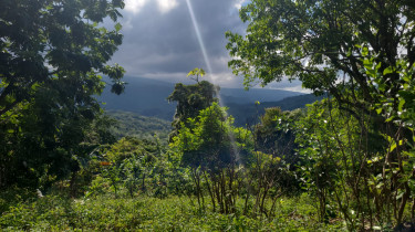 Land For Sale In Long Road, Portland.  