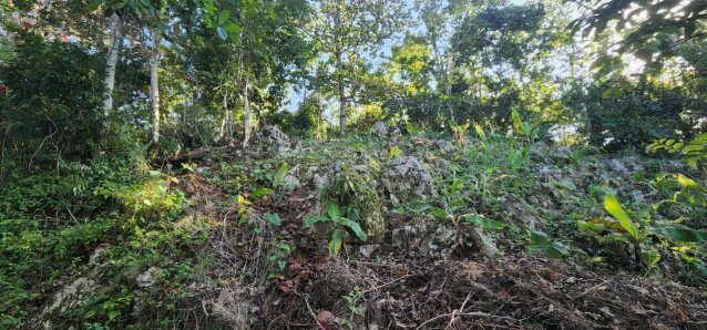 A Little Over Quarter Acres Land Waugh Hill