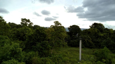 3/4 Acre Lot - Unfinished Subdivision - 3 Lots