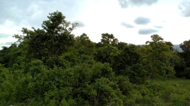 3/4 Acre Lot - Unfinished Subdivision - 3 Lots