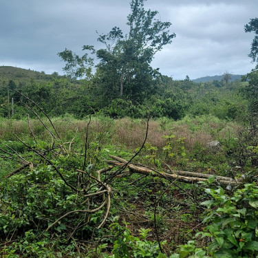 16000+sq Ft Of Land For Sale In Golden Grove St.An