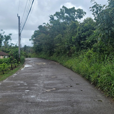 16000+sq Ft Of Land For Sale In Golden Grove St.An