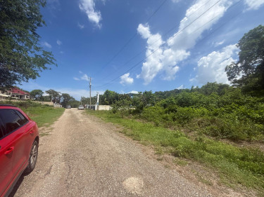 0.57 Acre For Sale In Cardiff Hall, Runaway Bay 