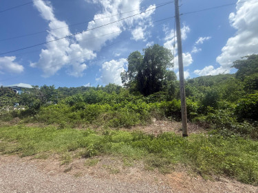 0.57 Acre For Sale In Cardiff Hall, Runaway Bay 