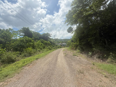 0.57 Acre For Sale In Cardiff Hall, Runaway Bay 