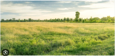 5/8 Of An Acre, Lot #4, Top Waltham District Land Top Waltham District, Mandeville