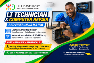 I.T Technician Network Installation & Computer Rep Software Development Kingston