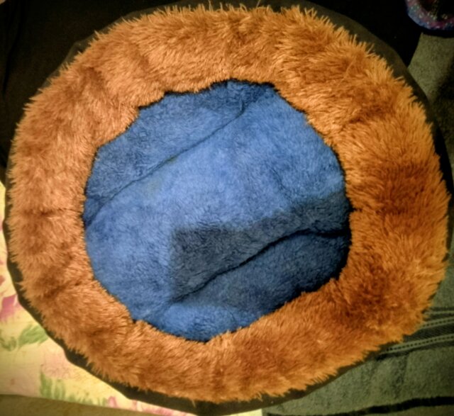 Dog Or Cat Bed Other Market Kingston