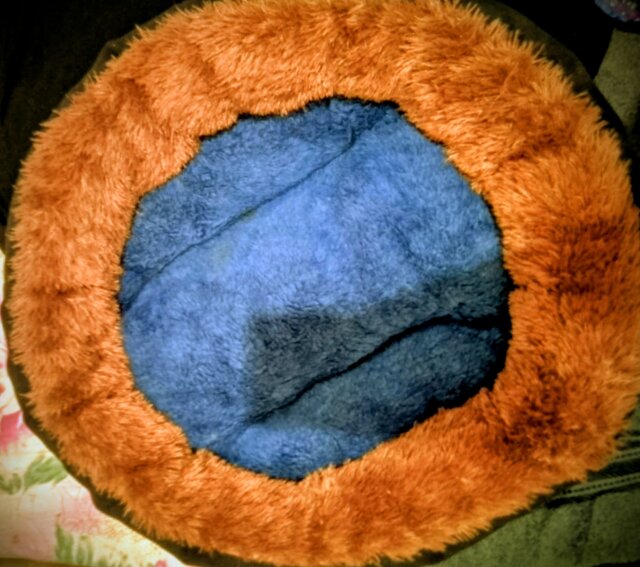 Dog Or Cat Bed