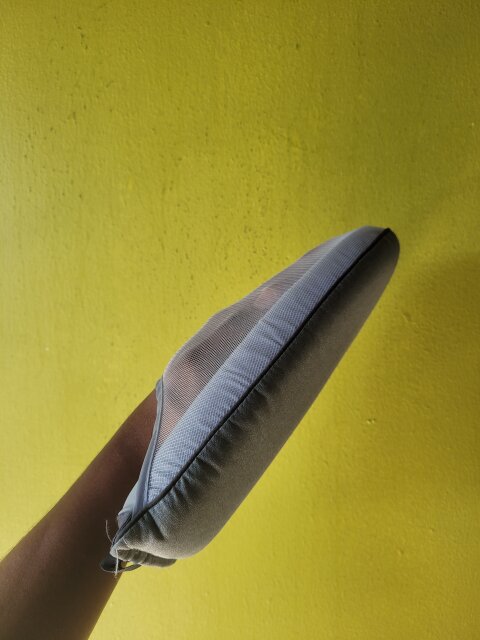 Steamfast Fabric Steamer (Clothes Iron)