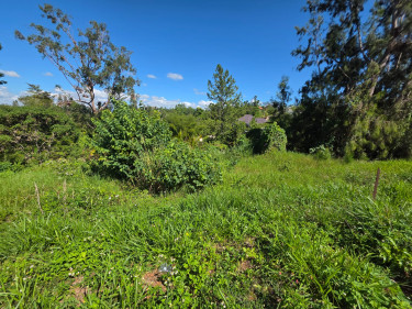 1/4 Acres Of Land Land Battersea