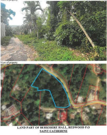 Cash Land (Title) For Sale Berkshire Hall St. Cath Land Berkshire Hall
