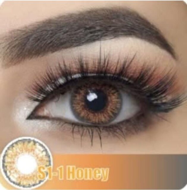 Contact Lenses