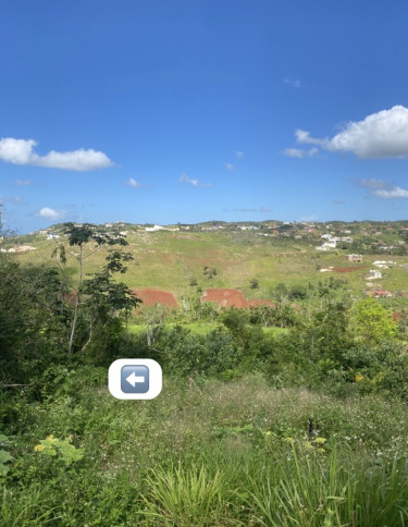 1 Acres Of Land 