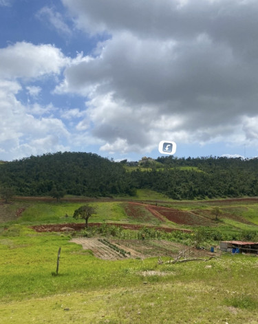 1 Acres Of Land 