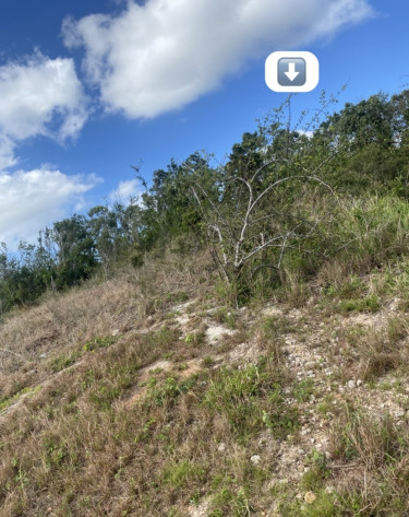 1 Acres Of Land 