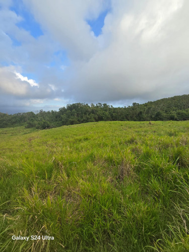 1/4 Acre Land Lot 12 Berlin Rd, Junction  P.O