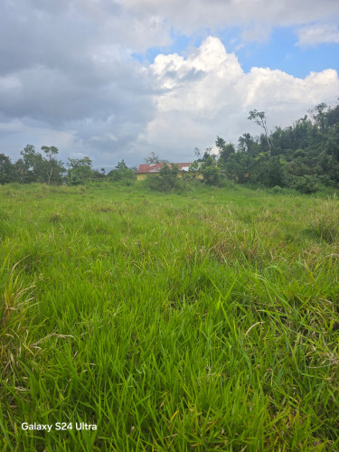1/4 Acre