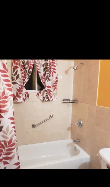 1 Bedroom 1 Bath Fully Furnished New Apt