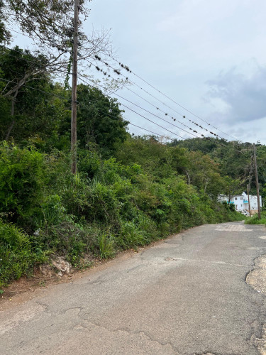 1.13 Acres Of Land  For Sale At Cyprus Hall Road