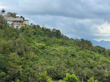 1.13 Acres Of Land  For Sale At Cyprus Hall Road