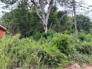 1.13 Acres Of Land  For Sale At Cyprus Hall Road