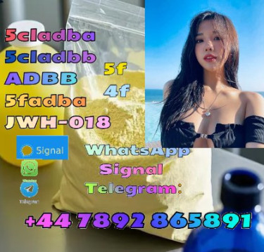 5cladba Powder 5cladba Raw Material 5CL-ADB-A Prec
