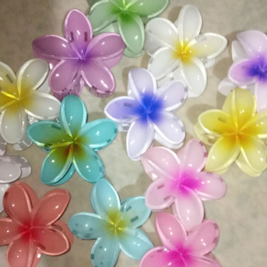 Hawaiian Flower Clips, Hair  Accessory 