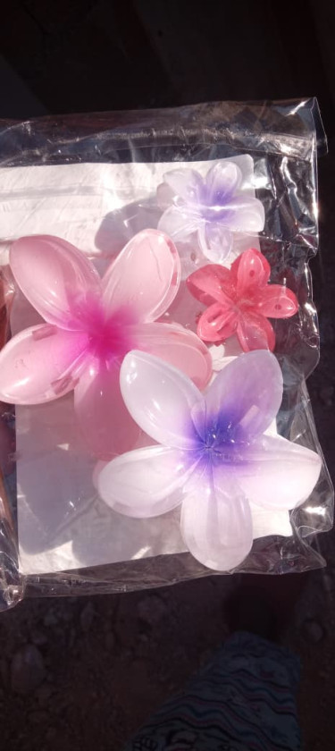 Hawaiian Flower Clips, Hair  Accessory 