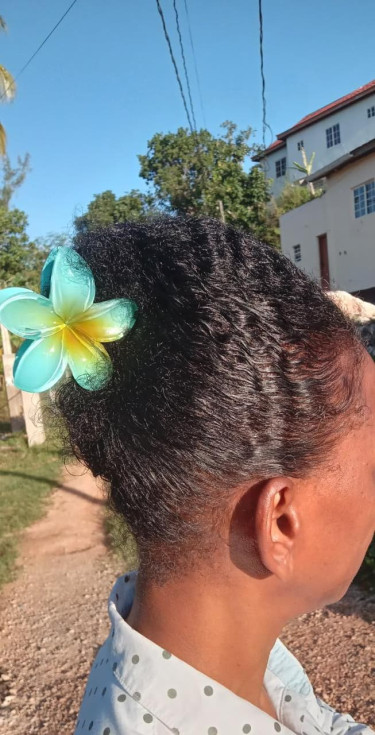 Hawaiian Flower Clips, Hair  Accessory  Makeup & Accessories Mandeville/ Online Based