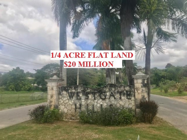 WESTGATE HILLS 1/4 ACRE FLAT LAND  Land Montego Bay