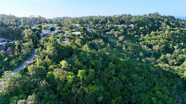 1-Acre Ocean View Lot In Retreat St Mary