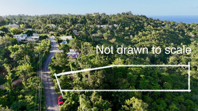 1-Acre Ocean View Lot In Retreat St Mary