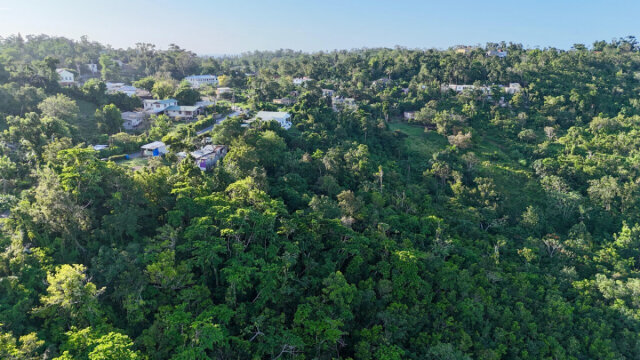 1-Acre Ocean View Lot In Retreat St Mary
