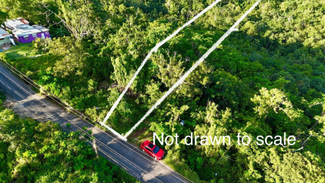 1-Acre Ocean View Lot In Retreat St Mary