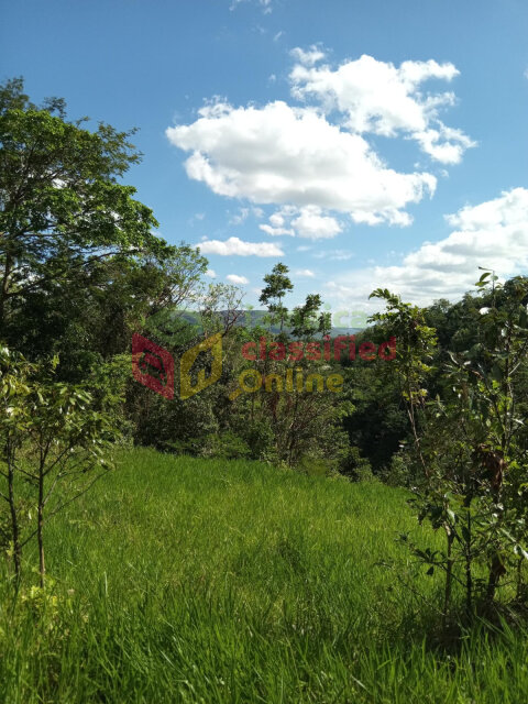 5 Acres Land For Sale