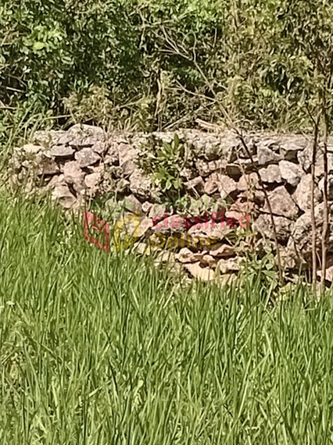 5 Acres Land For Sale