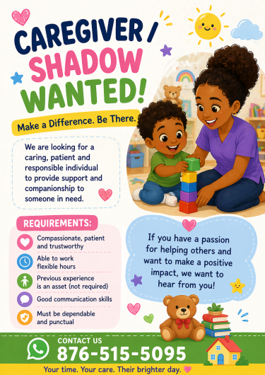 Shadow/Caregiver  Full Time Jobs Kingston 