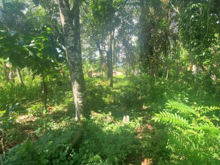 3/4 Acres Land Sterling