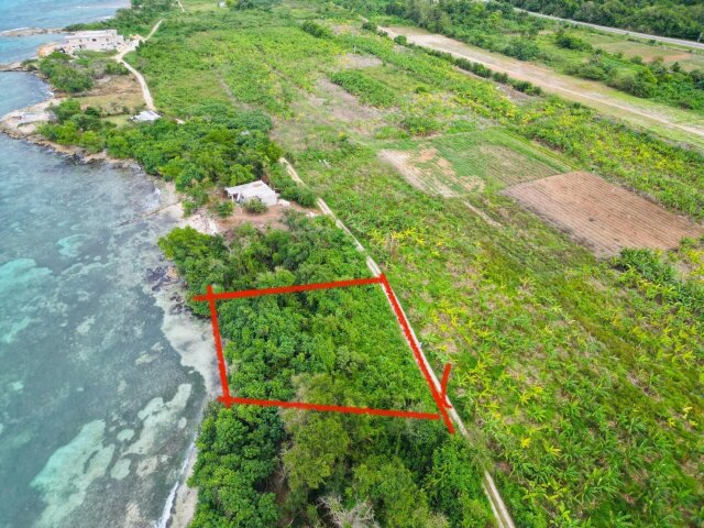 Land For Sale| Braco And Lancaster, Trelawny Land Trelawny