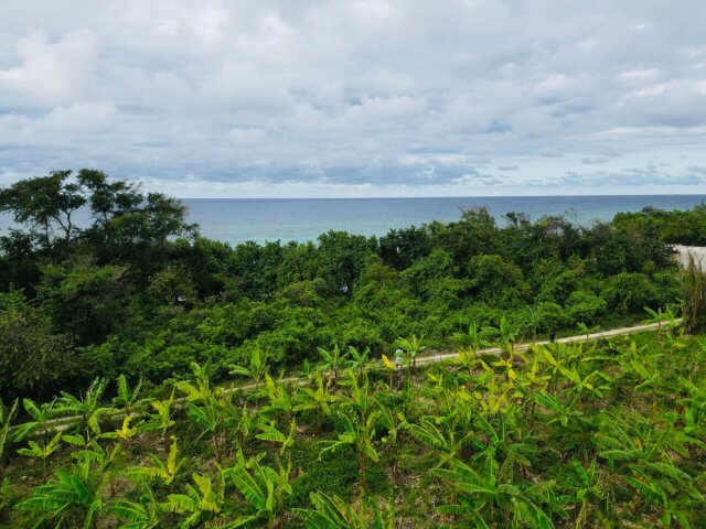 Land For Sale| Braco And Lancaster, Trelawny
