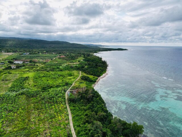 Land For Sale| Braco And Lancaster, Trelawny