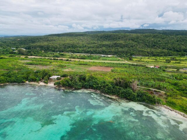 Land For Sale| Braco And Lancaster, Trelawny
