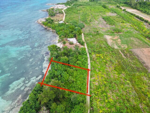 Land For Sale| Braco And Lancaster, Trelawny