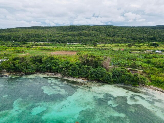 Land For Sale| Braco And Lancaster, Trelawny