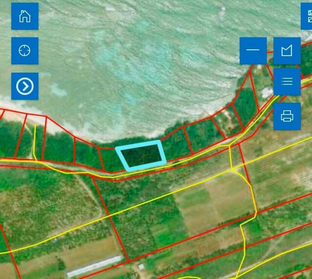 Land For Sale| Braco And Lancaster, Trelawny