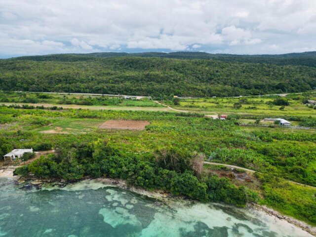 Land For Sale| Braco And Lancaster, Trelawny