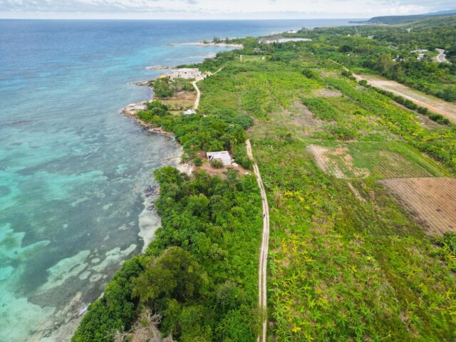 Land For Sale| Braco And Lancaster, Trelawny